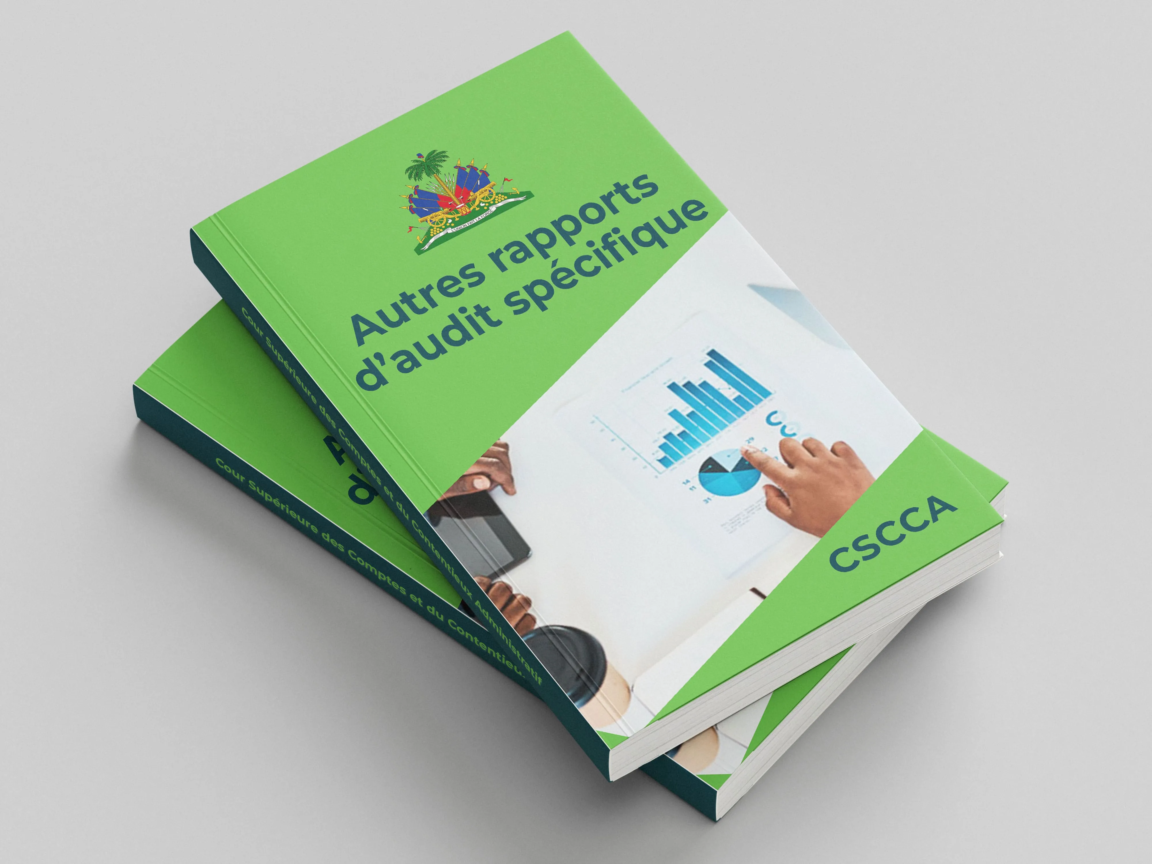 Image du rapport