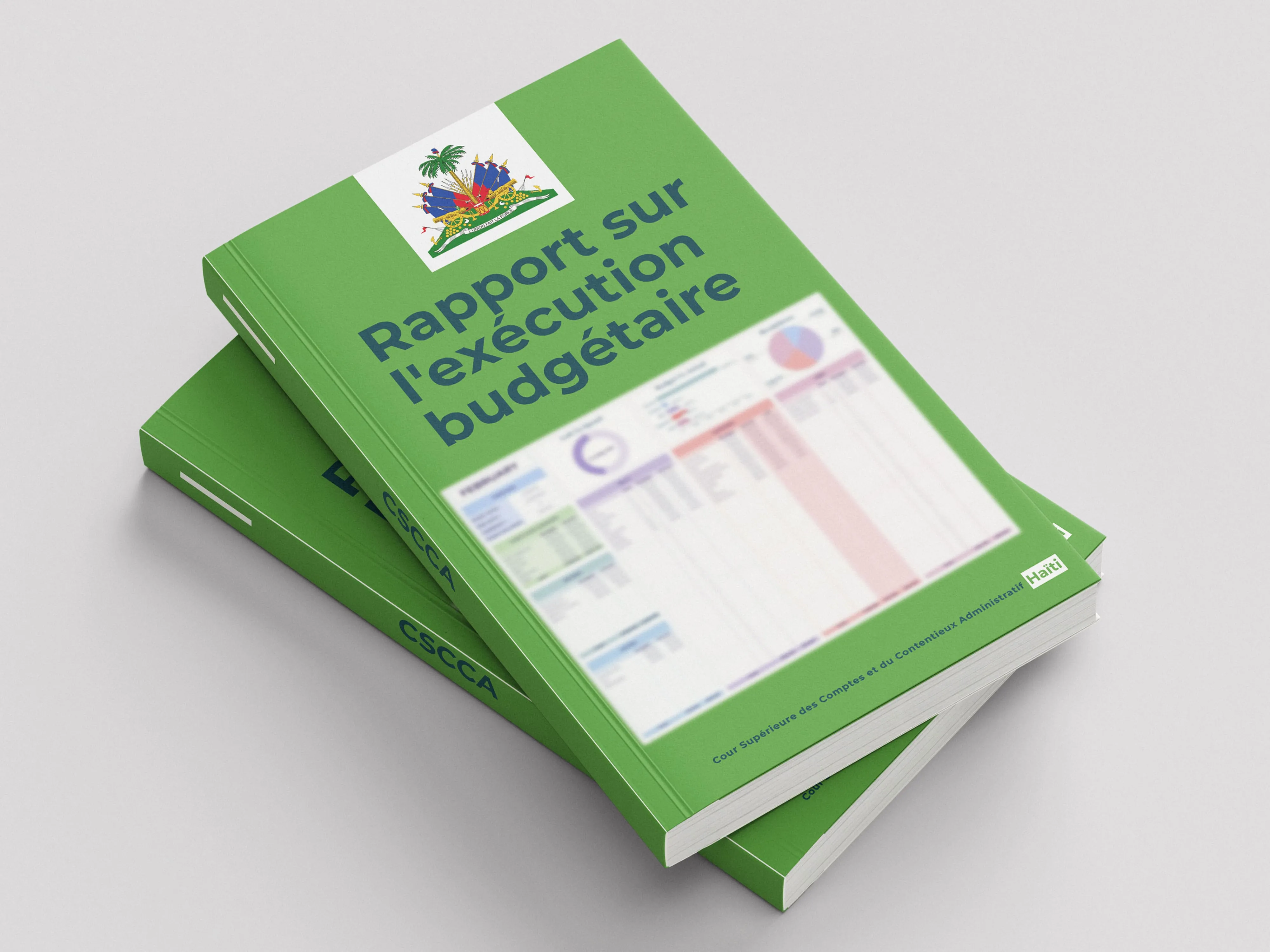 Image du rapport