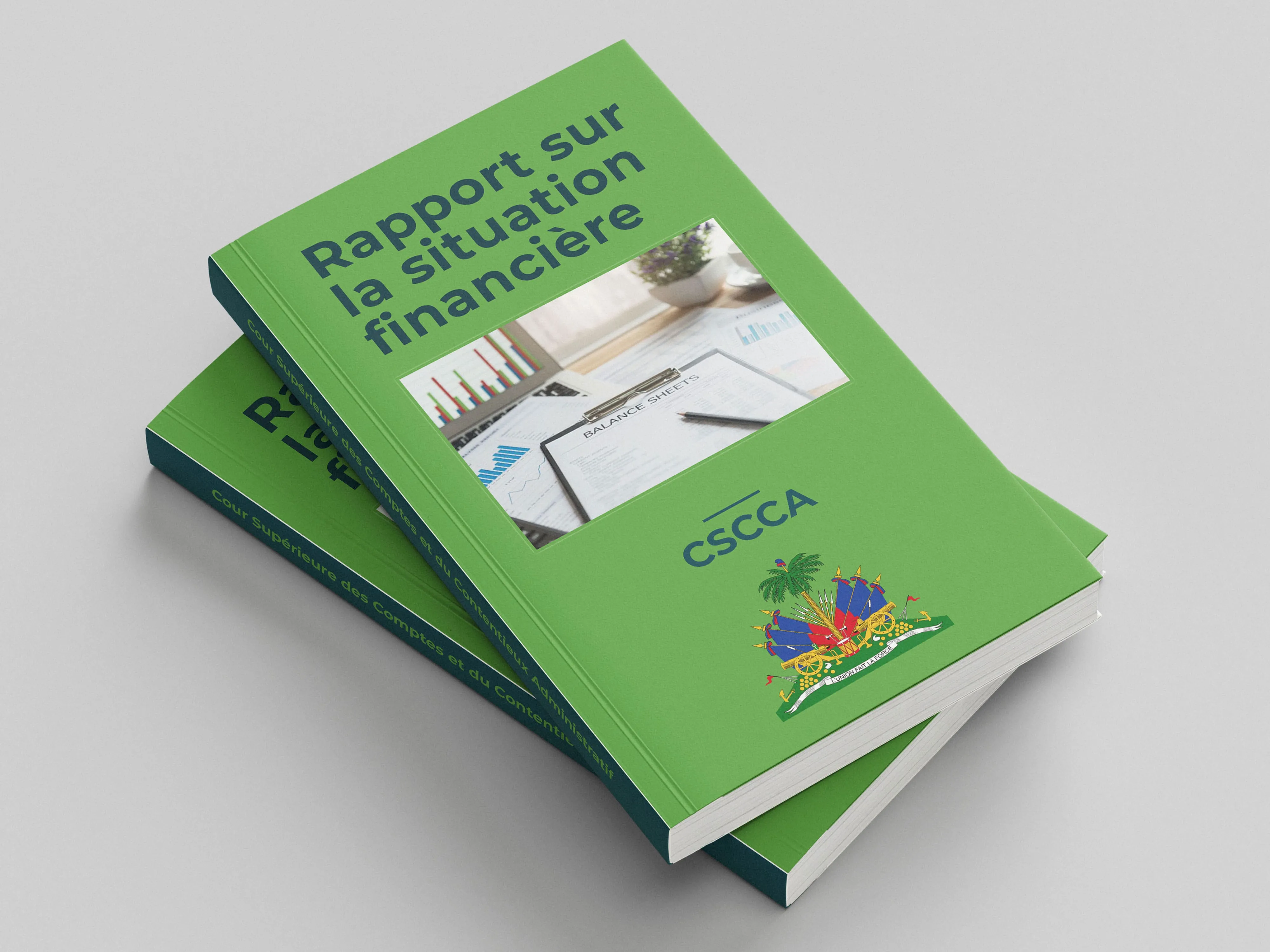 Image du rapport